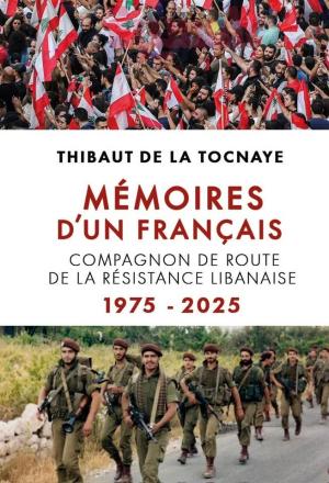 La résistance Libanaise: un avenir similaire en France?